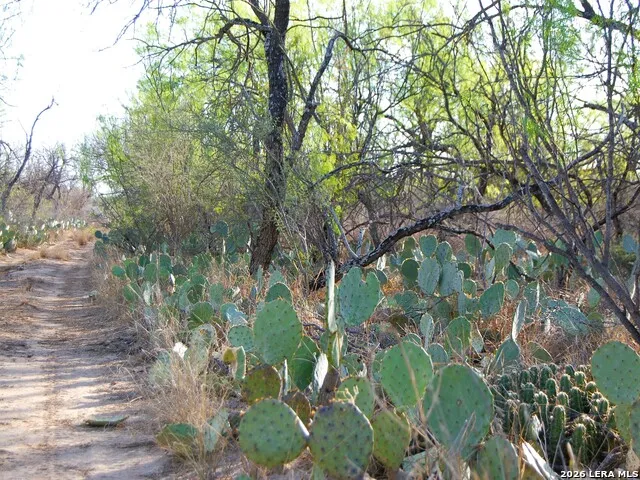 TBD FM 186 Carrizo Springs, TX 78834
