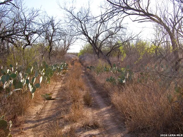 TBD FM 186 Carrizo Springs, TX 78834