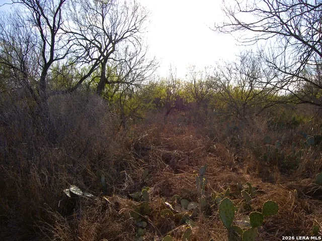 TBD FM 186 Carrizo Springs, TX 78834