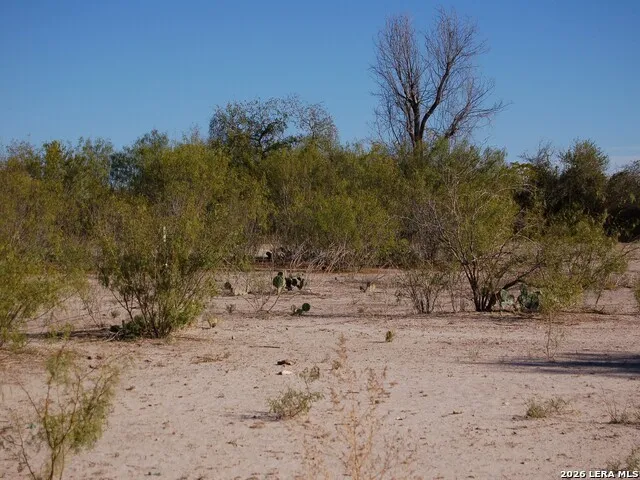 TBD FM 186 Carrizo Springs, TX 78834