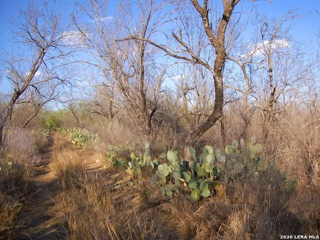 TBD FM 186 Carrizo Springs, TX 78834