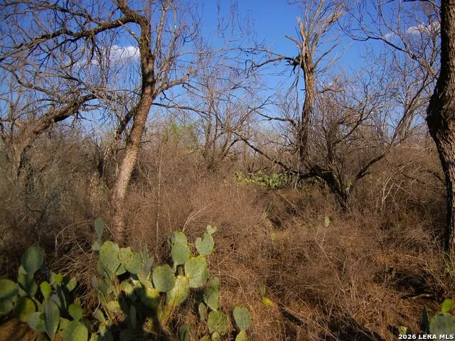TBD FM 186 Carrizo Springs, TX 78834