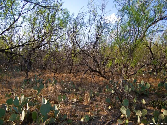 TBD FM 186 Carrizo Springs, TX 78834