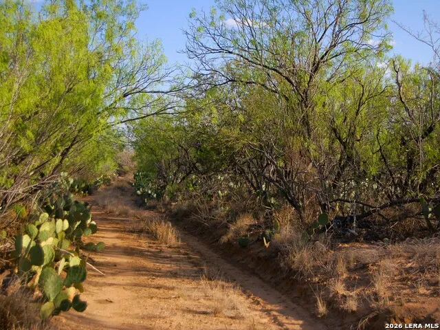 TBD FM 186 Carrizo Springs, TX 78834