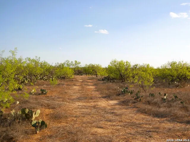 TBD FM 186 Carrizo Springs, TX 78834