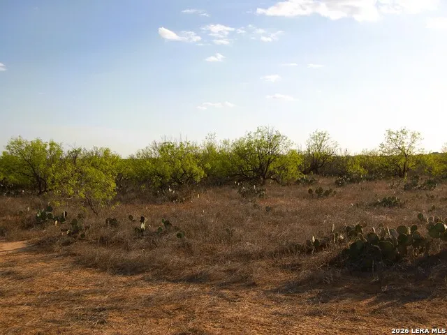 TBD FM 186 Carrizo Springs, TX 78834