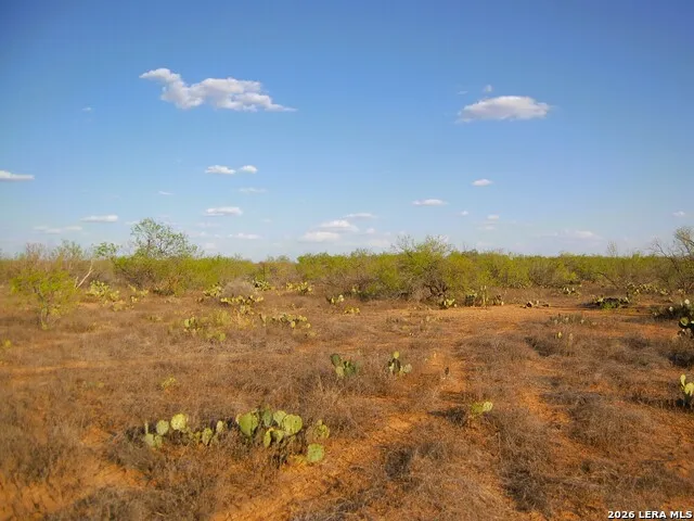 TBD FM 186 Carrizo Springs, TX 78834