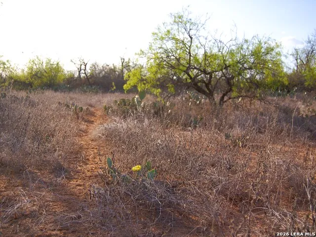 TBD FM 186 Carrizo Springs, TX 78834
