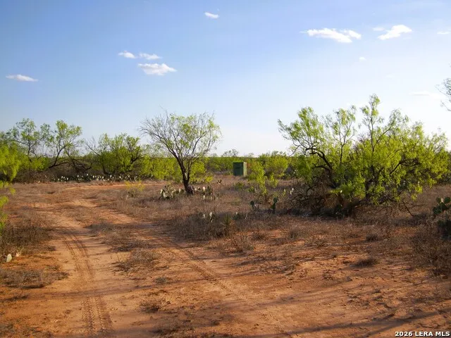 TBD FM 186 Carrizo Springs, TX 78834
