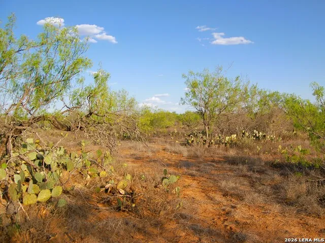 TBD FM 186 Carrizo Springs, TX 78834