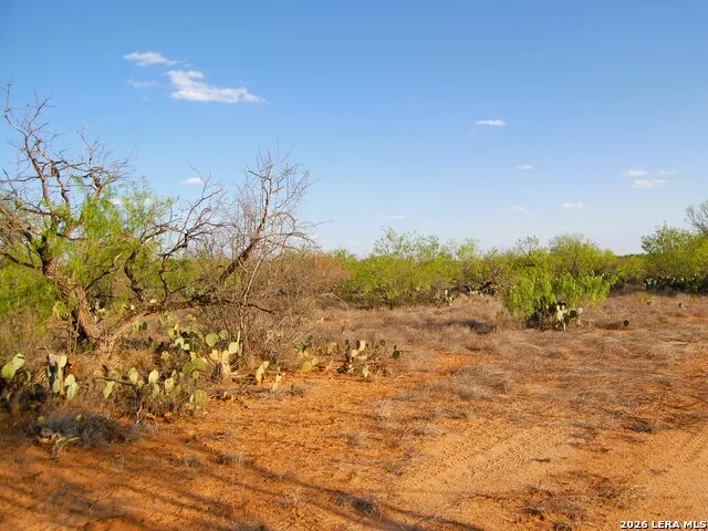 TBD FM 186 Carrizo Springs, TX 78834