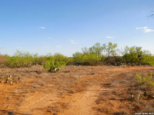 TBD FM 186 Carrizo Springs, TX 78834