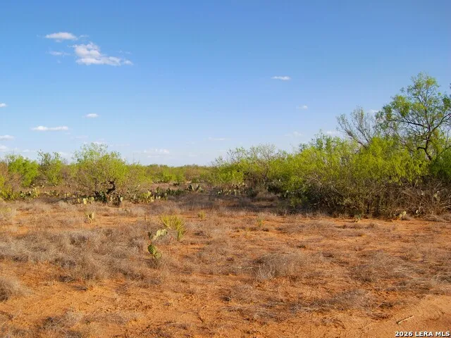 TBD FM 186 Carrizo Springs, TX 78834