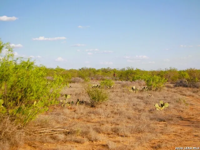 TBD FM 186 Carrizo Springs, TX 78834
