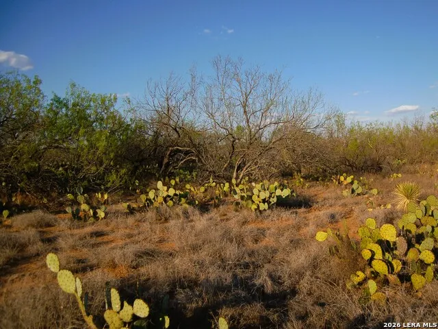 TBD FM 186 Carrizo Springs, TX 78834
