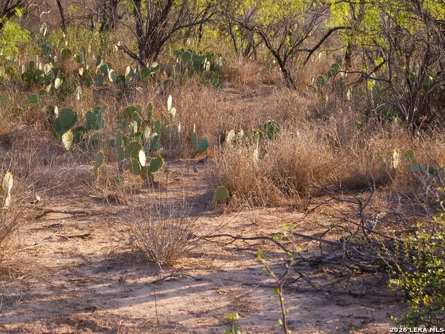 TBD FM 186 Carrizo Springs, TX 78834