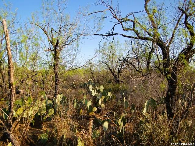 TBD FM 186 Carrizo Springs, TX 78834