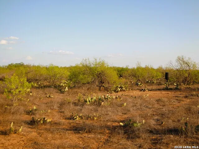 TBD FM 186 Carrizo Springs, TX 78834