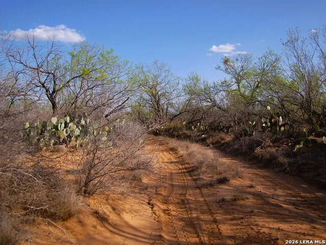 TBD FM 186 Carrizo Springs, TX 78834