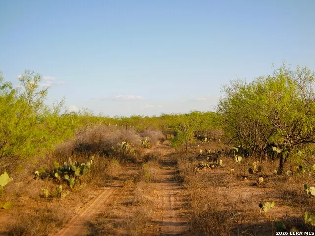 TBD FM 186 Carrizo Springs, TX 78834