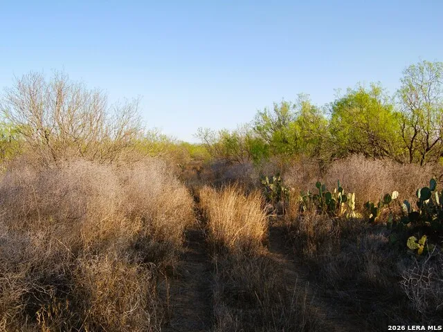 TBD FM 186 Carrizo Springs, TX 78834