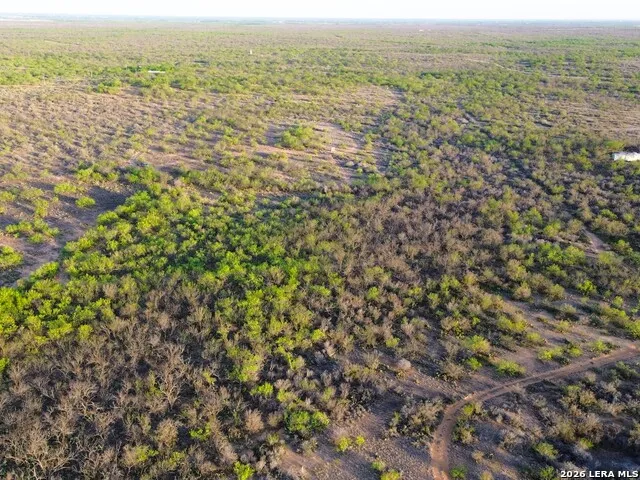 TBD FM 186 Carrizo Springs, TX 78834