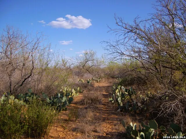 TBD FM 186 Carrizo Springs, TX 78834