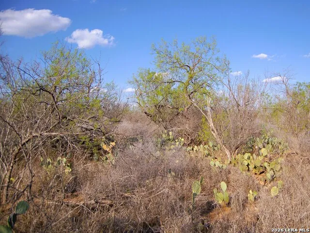 TBD FM 186 Carrizo Springs, TX 78834