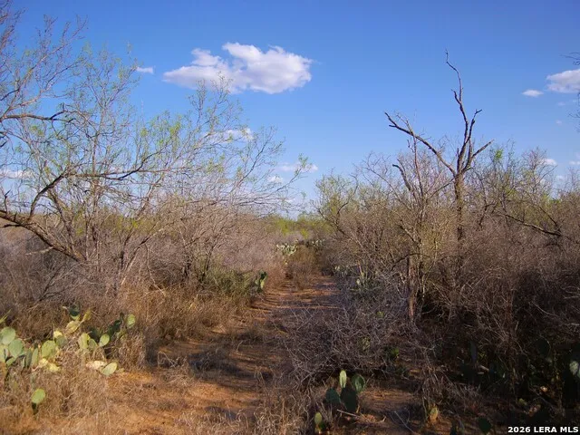 TBD FM 186 Carrizo Springs, TX 78834