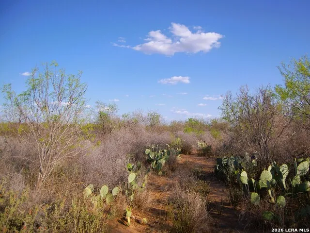 TBD FM 186 Carrizo Springs, TX 78834
