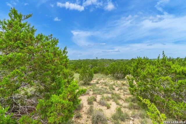 LOT 124 Legacy Hills Drive Johnson City, TX 78636