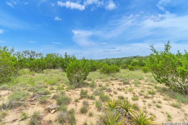 LOT 124 Legacy Hills Drive Johnson City, TX 78636
