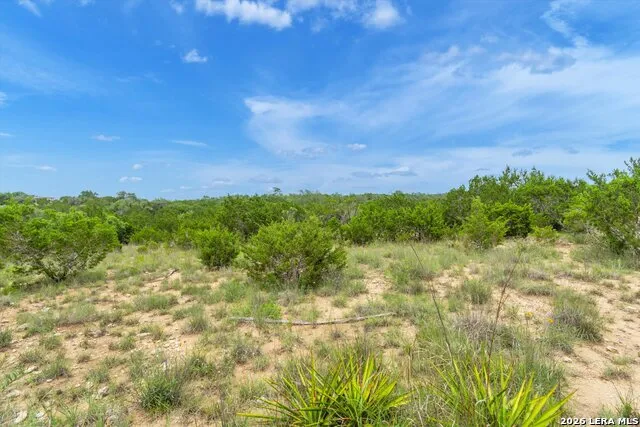 LOT 124 Legacy Hills Drive Johnson City, TX 78636