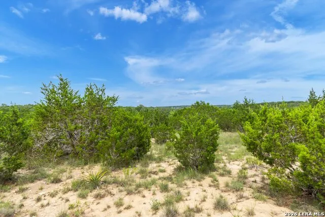 LOT 124 Legacy Hills Drive Johnson City, TX 78636