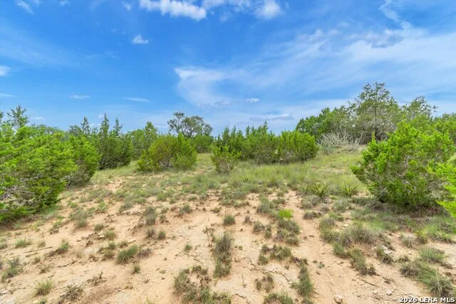 LOT 124 Legacy Hills Drive Johnson City, TX 78636