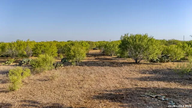 4 CR 331 W Jourdanton, TX 78026