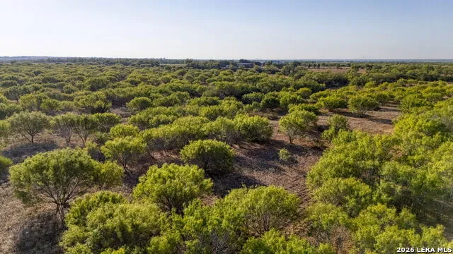 4 CR 331 W Jourdanton, TX 78026