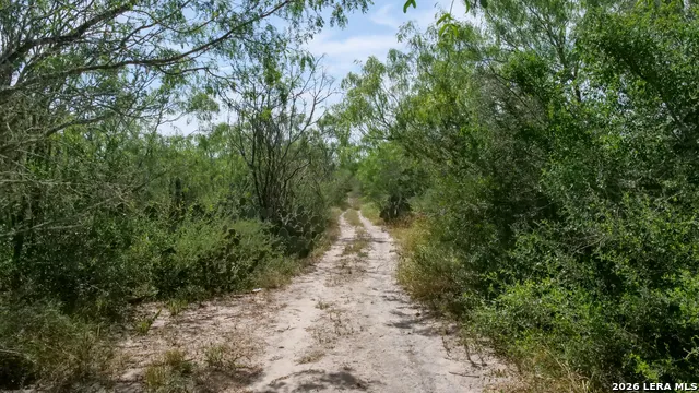 128 Salyer Rd George West, TX 78022