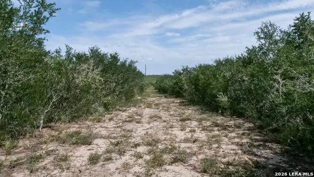 128 Salyer Rd George West, TX 78022