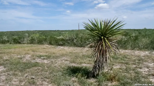 128 Salyer Rd George West, TX 78022