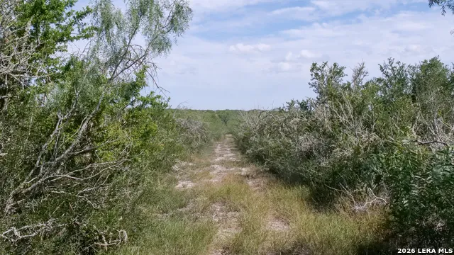 128 Salyer Rd George West, TX 78022