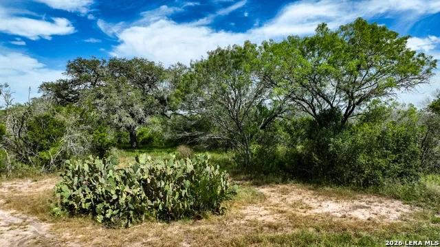 128 Salyer Rd George West, TX 78022