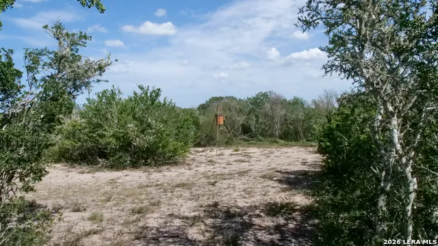 128 Salyer Rd George West, TX 78022