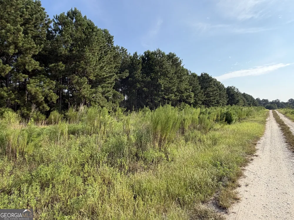 0 Highway 296 Stapleton, GA 30823