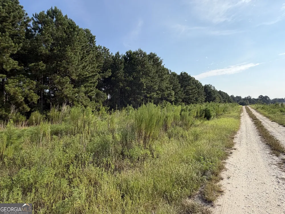 0 Highway 296 Stapleton, GA 30823
