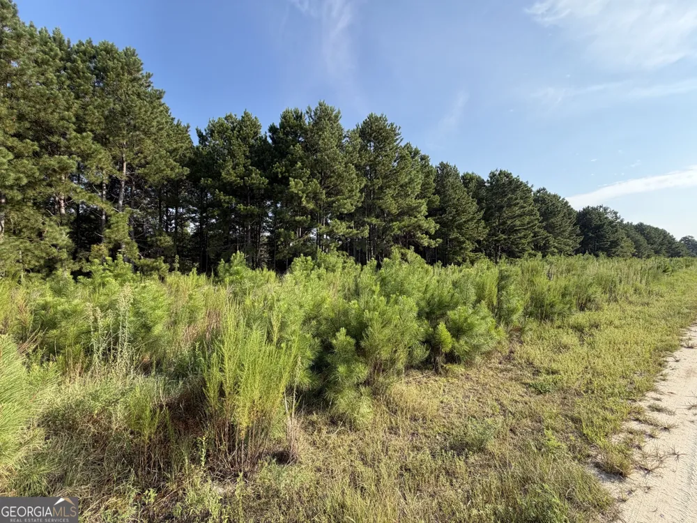 0 Highway 296 Stapleton, GA 30823