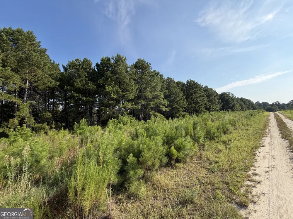 0 Highway 296 Stapleton, GA 30823