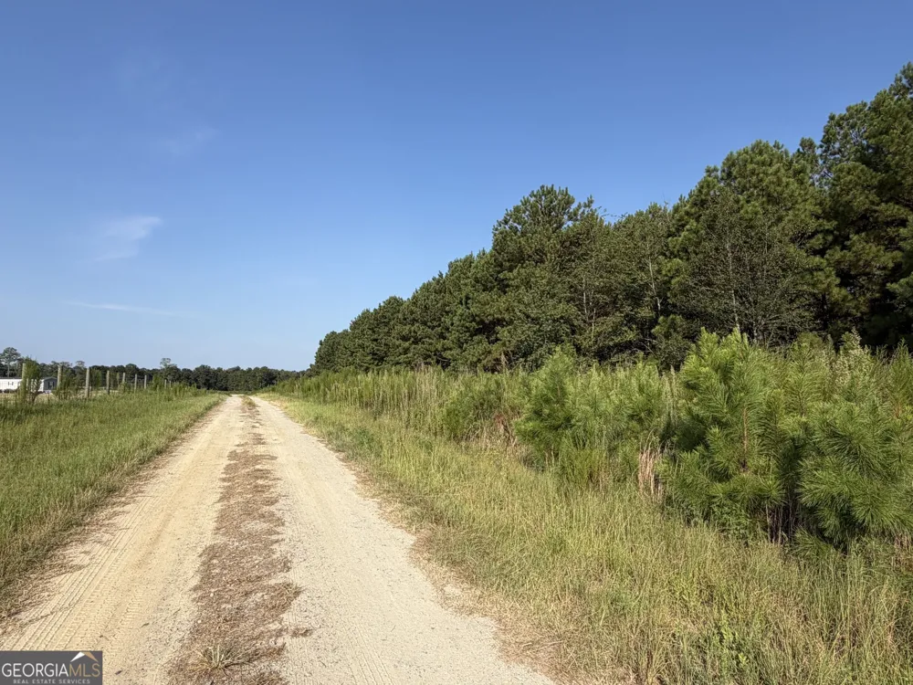 0 Highway 296 Stapleton, GA 30823