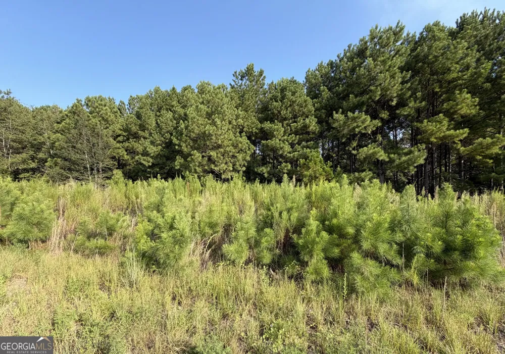 0 Highway 296 Stapleton, GA 30823