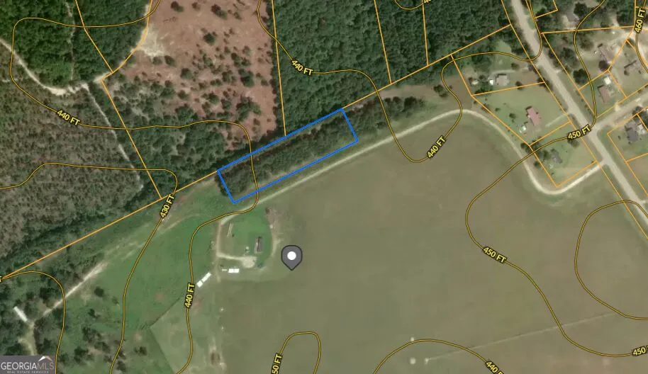 0 Highway 296 Stapleton, GA 30823
